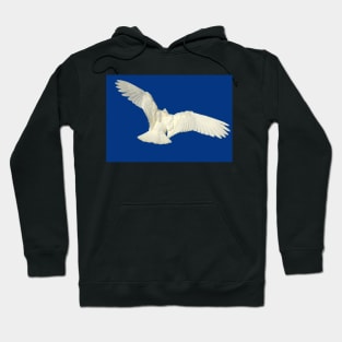 Angel wings Hoodie